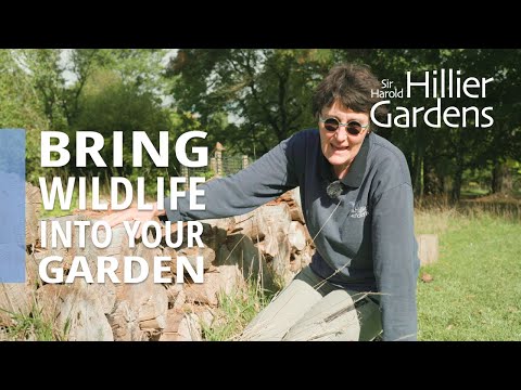 How to encourage wildlife into your garden | Sir Harold Hillier Gardens