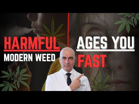 Why Modern Weed Ages Your Brain & Skin Fast (+Reversal Protocol)