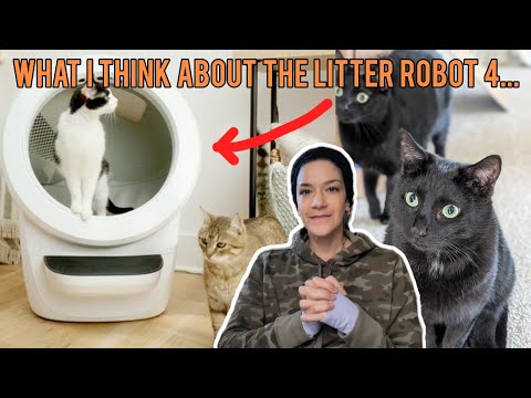I've had the Litter Robot 4 for two years with MULTIPLE cats - is it worth it? (unscripted review)