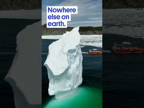 What is Iceberg Alley? (And why it’s amazing)