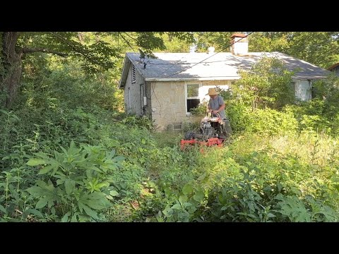 "A Neighbor Asked Me to Clean This Vandalized Property… Then He Showed Up to Help!"