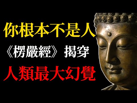 你根本不是人?《楞嚴經》揭穿人類最大幻覺!五蘊皆空,連「我」都是臨時拼湊的假名!#楞嚴經#佛學故事#五蘊皆空#無我#佛學智慧#心靈覺醒#佛法實修#我是誰#臺灣佛學#身心靈