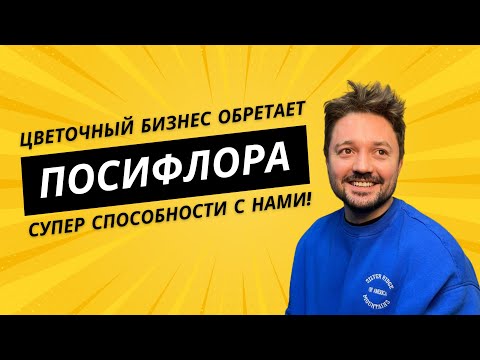 ИНТЕРВЬЮ | Почему предприниматели нанимают Посифлору и что стоит за красивым интерфейсом? | MFS TV