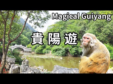 A film takes you to understand the city where monkeys are more heroic than people-Guiyang! In Qianl