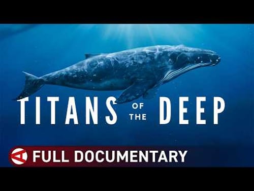 Titans of the Deep: The Secret World of Whales