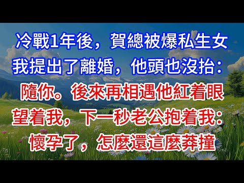 【完結】冷戰1年後,賀總被爆私生女,我提出了離婚,他頭也沒抬:隨你。後來再相遇他紅着眼望着我,下一秒老公抱着我:懷孕了,怎麼還這麼莽撞