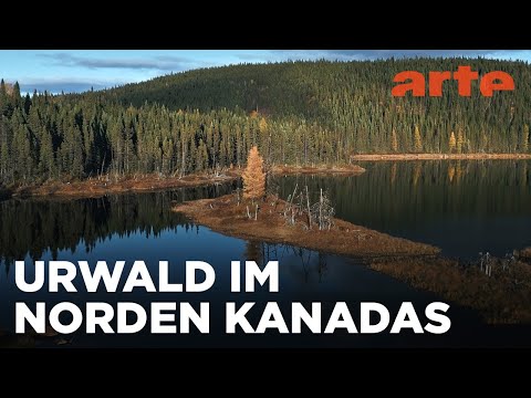 Das nördliche Québec | Naturerbe Kanada | ARTE Family