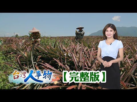 八卦山咖啡農二代 咖啡渣回收創驅蚊香/鳳梨再造的環保革命 自動取纖廢葉變黃金/清大高材生點木成金 廢材翻轉出破億價值/借貸十萬創茶葉王國 茶渣回收變茶香貓砂【台灣人事物】2025.11.08✦完整版✦