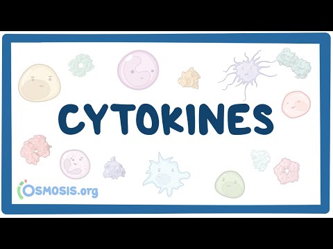 Cytokines