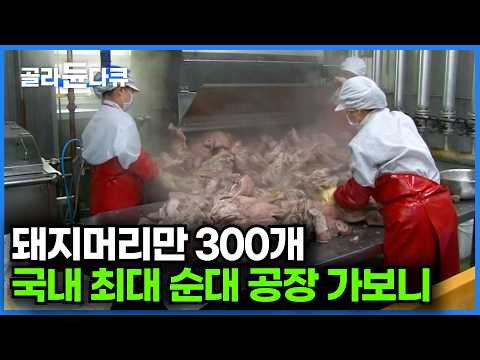 하루에 만드는 순대만 6톤... 종류만 10가지. 찹쌀 순대, 옛날 순대, 국밥용 부속물까지ㅣ뜨끈한 순대 한 입ㅣ극한직업│#골라듄다큐