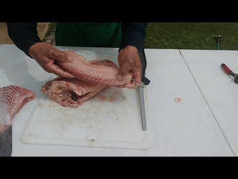 How to clean and Dress Buffalo Fish... Part 2..