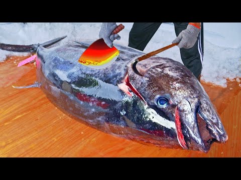 Sharpest Tuna Knife Making,Giant Bluefin Tuna Cutting Master/最銳利鮪魚刀!巨大黑鮪魚切割技巧, 黑鮪魚大腹, 烤黑鮪魚雞腿/彭家水產
