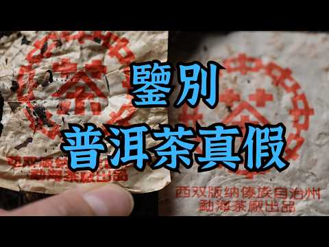 鑒別勐海茶廠(大益)真假 千禧年紅中紅帶青餅 鑒別普洱茶正仿品全攻略 #PURETEA #普洱茶