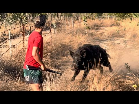 Chaos in Croc Country: Hunting & Fishing Gone Wrong