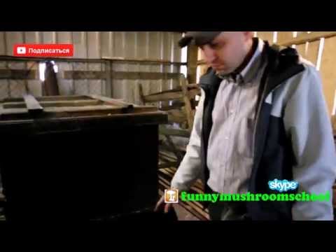 Вешенка, Как готовить субстрат, Заварочная емкость Как варить солому