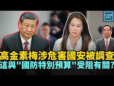 高金素梅涉危害國安被調查,這與『國防特別預算』受阻有關?|天高海闊 20260212|#政治 #習近平 #台海