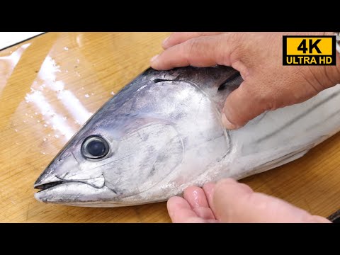 A bonito fisherman teaches how to cut bonito, and how to make delicious seared bonito!