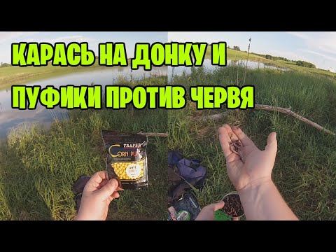 ПУФИКИ С АНИСОМ ПРОТИВ КРАСНОГО ЧЕРВЯ. ЛОВЛЮ КАРАСЯ НА ДОНКУ