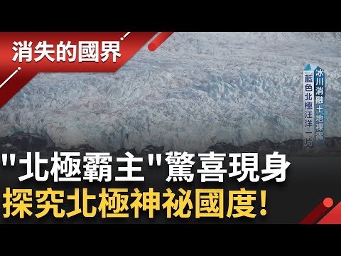 直擊冰川崩落瞬間! 有如雷神之鎚 再全球暖化下 浮冰消失.綠化面積增加 恐出現"藍色北極" 科學家用嚴謹態度 揭密更多不為人知的祕密|李文儀主持|【消失的國界完整版】20241102|三立新聞台