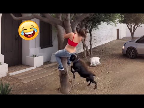 Try Not To Laugh π€£ Top 100 Funniest Videos Ever π¬π₯ Memes, Epic Fails & Pranks Compilation Part 17