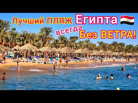 ЛУЧШИЙ пляж в Египте 🇪🇬 Мы в ШОКЕ❗️Пляж отеля Sharm Dreams Resort 5*, бухта Наама Бей, Шарм эль Шейх