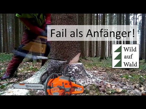 🌲Tree felling: These are the mistakes you should never make! #wildaufwald