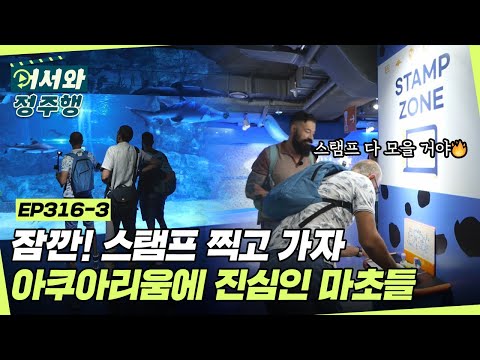 잠깐! 스탬프 찍고 가자😆 아쿠아리움에 진심인 불가리아 마초들🐠 l #어서와정주행 l #MBCevery1 l EP.316-3