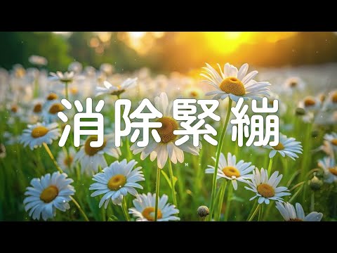 Unprecedented Relaxing Experience | Stop Overthinking, Healing of Stress, Anxiety | Morning Music