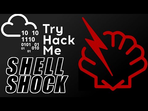 ShellShock & Kernel Exploits - TryHackMe! 0day