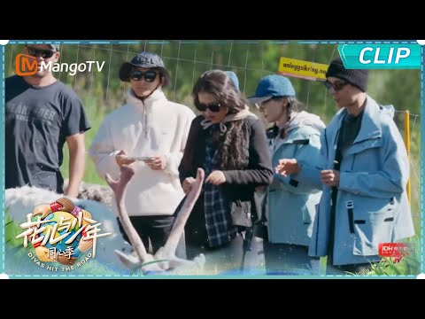 【未播花絮】七老童心看小麋鹿笑声不断|《花儿与少年·同心季》Divas Hit the Road · Hearts United|MangoTV