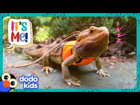 Brave Lizard Suits Up To Explore An Unknown World! | Dodo Kids | It's Me!