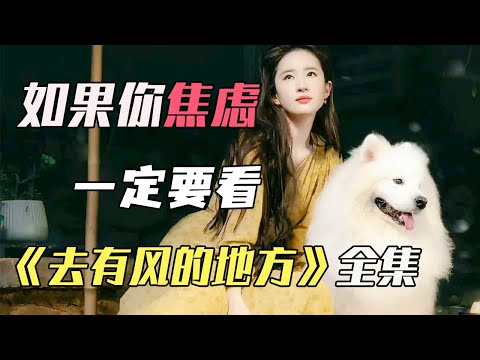 Liu Yifei enters the workplace and the world begins to collapse! "Go Where the Wind Is"