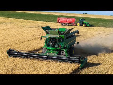 John Deere S780 🦌🌅 - Barley harvest 2025