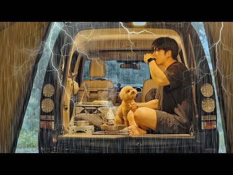 Camping in Non-Stop Heavy Rain with My Dog . Binge Watching ASMR