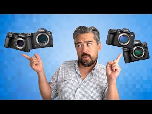 The Best Cameras for Wildlife Photography, Ranked! | The PetaPixel Podcast