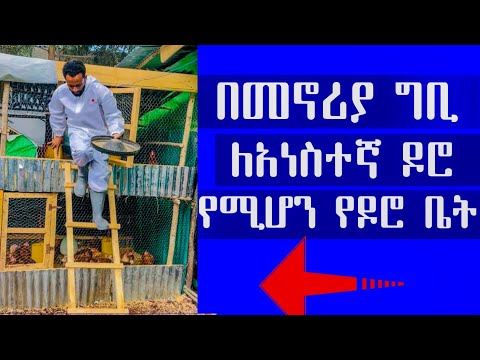 ለመኖሪያ ግቢ የሚሆን አነስተኛ የዶሮ ቤት አሰራር