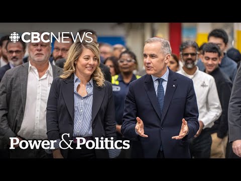 What does Canada's new EV plan mean for an industry hit hard by U.S. tariffs? | Power & Politics