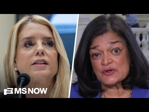 Rep Jayapal: DOJ is ‘spying on members of Congress’ viewing Epstein files