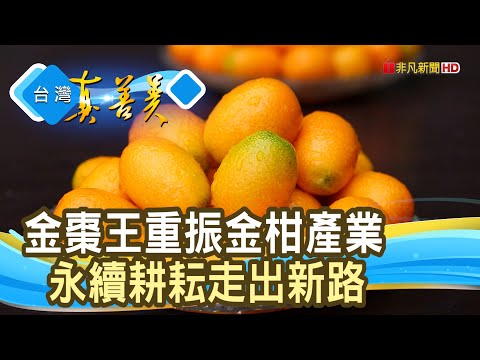 不屈服命運的“金棗王”|宜富金棗觀光果園|【台灣真善美】2025.03.09