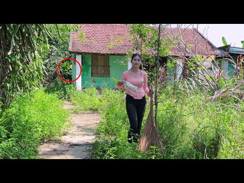 Something strange appeared behind the abandoned house as we cleared the overgrown grass