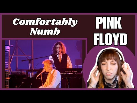 BLISSFUL | Pink Floyd | COMFORTABLY NUMB Live (Reaction)