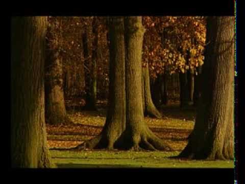 Autumn Journal by Louis MacNeice