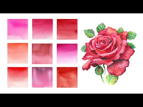 Essential Watercolor Reds ❤️ Find Your Perfect Shade!