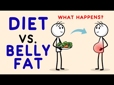 How Long Your Diet Takes Before Burning Belly Fat? (Science Explained)