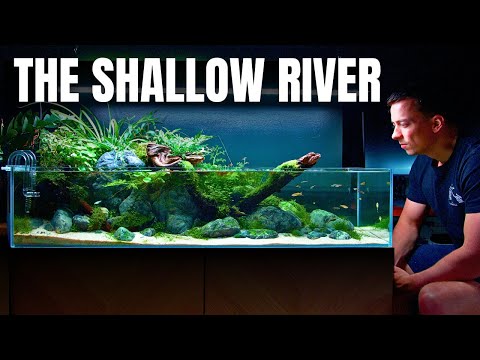 BUILDING A 120CM SHALLOW RIVER AQUASCAPE! Full Step by Step Tutorial