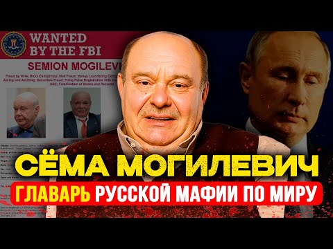 СЁМА МОГИЛЕВИЧ : БОСС, КОТОРОГО НЕ СУЩЕСТВУЕТ. Как обманул Уолл-Стрит, ФБР и Кремль одновременно.