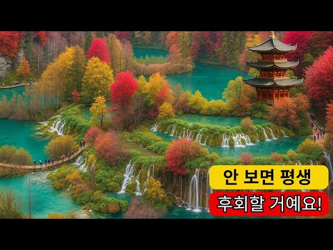 지구에서 가장 믿기 어려운 경이로움 - 늦기 전에 꼭 알아야 할 것들