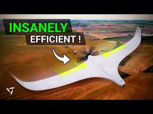 AI Designed This Organic Flying Wing… I Had to Build It (+16% Efficiency)