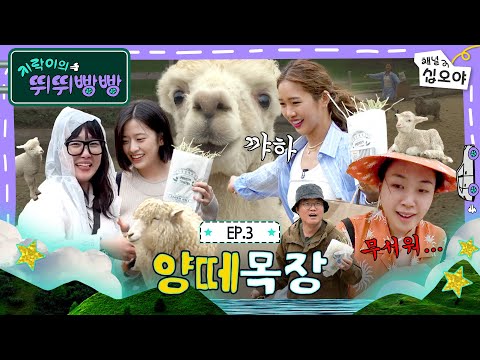 🚗Episode 3 Full Version | We're Open Rain or Shine | 🚗💨Earth Arcade's Vroom Vroom