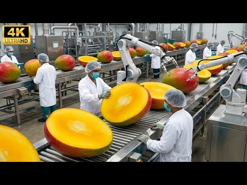Inside the Mango Factory – How Fresh Mangoes Become Smooth Mango Sorbet Full